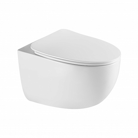 Подвесной унитаз безободковый Terminus Енисей Монолит 560х390 белый Нижневартовск - фото 2