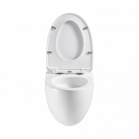 Подвесной унитаз безободковый Terminus Енисей Монолит 560х390 белый Нижневартовск - фото 5